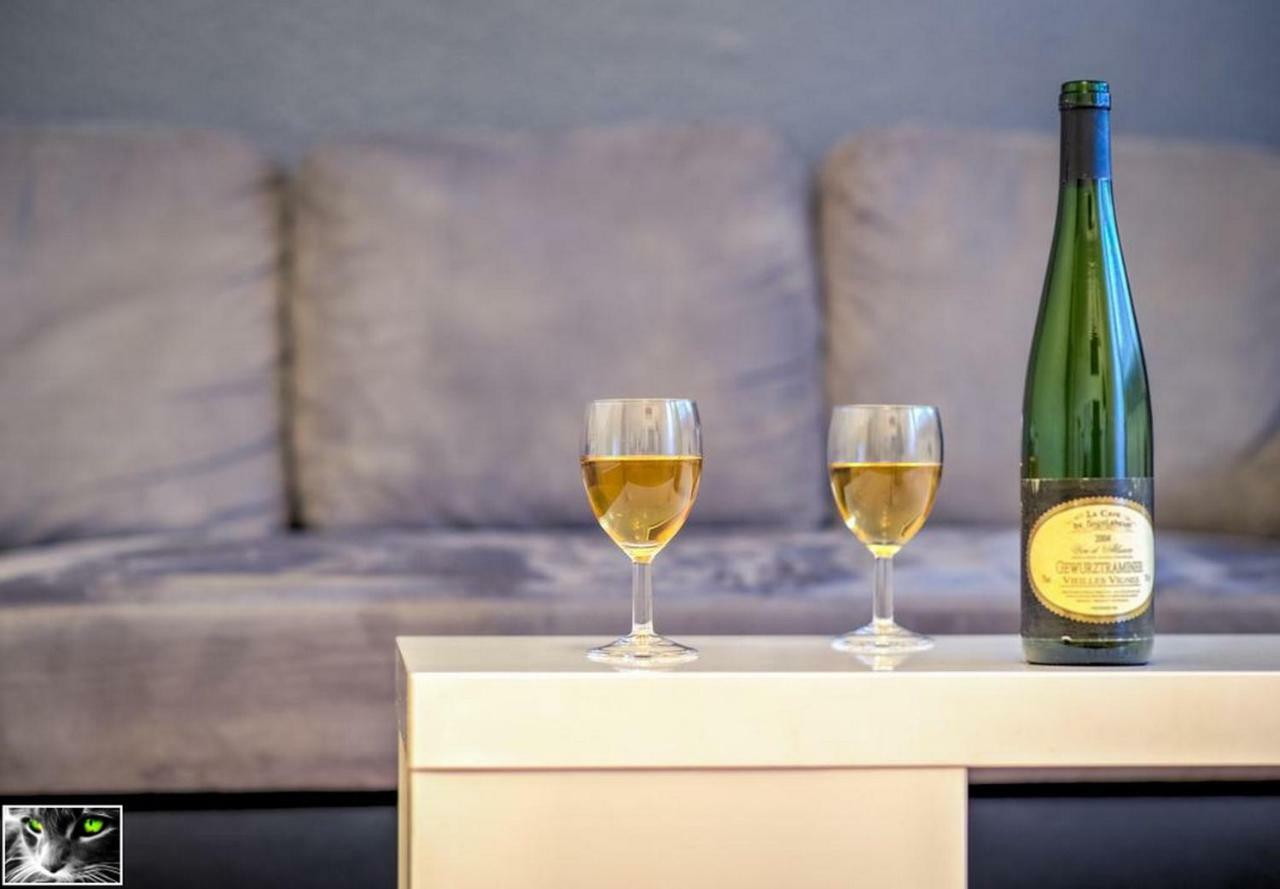 Appartement Spacieux Schiltigheim Eksteriør billede