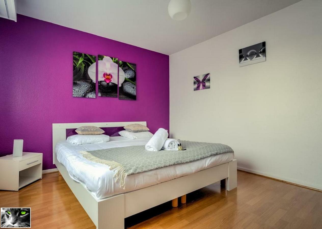 Appartement Spacieux Schiltigheim Eksteriør billede