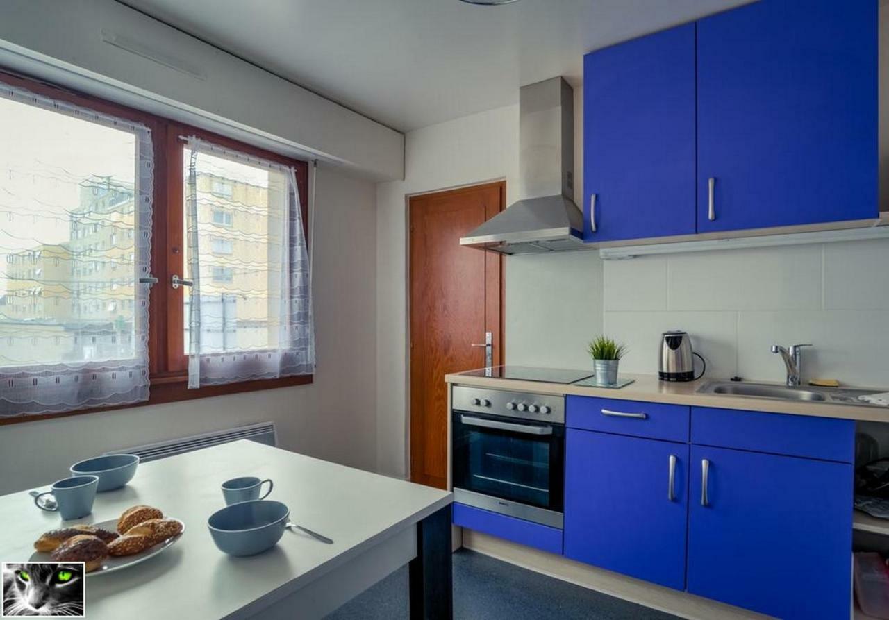 Appartement Spacieux Schiltigheim Eksteriør billede
