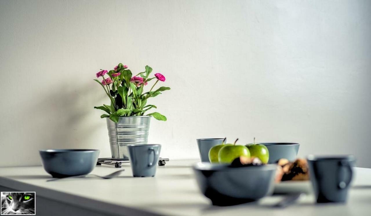 Appartement Spacieux Schiltigheim Eksteriør billede