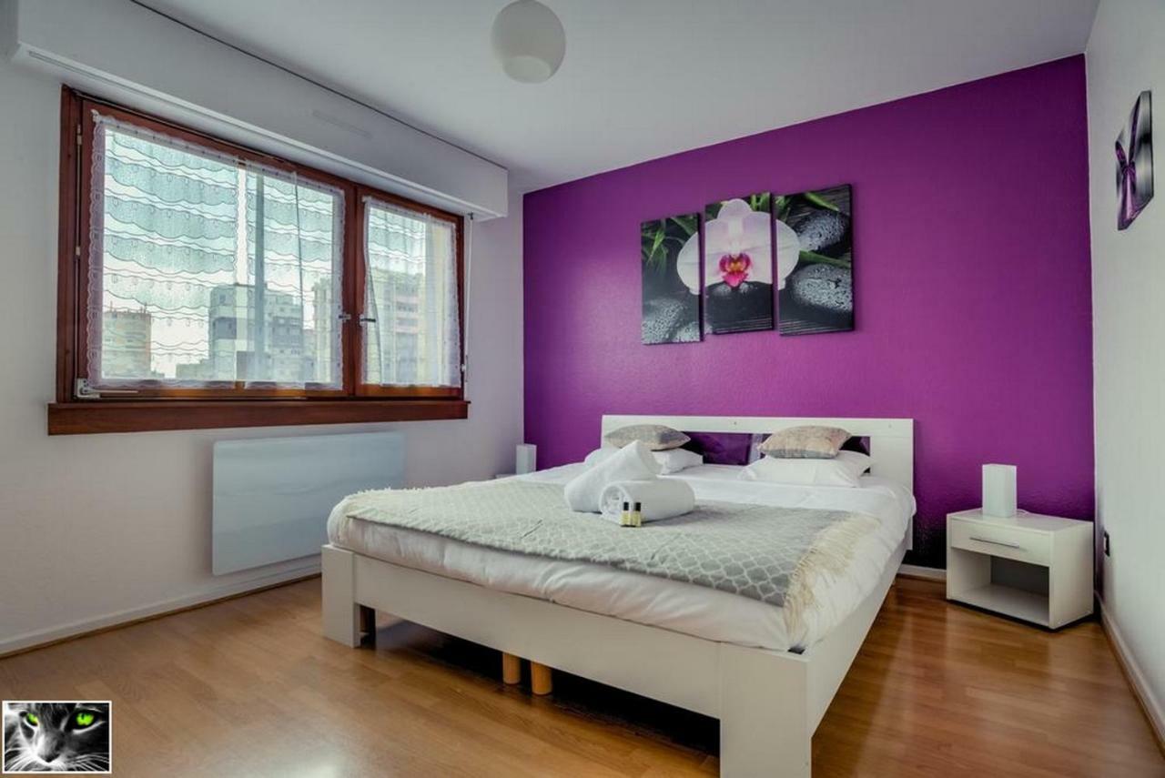 Appartement Spacieux Schiltigheim Eksteriør billede